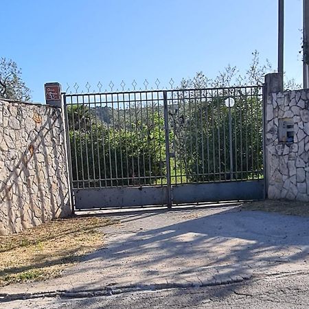 Villa Oleandro Ciccino Vieste Exterior foto